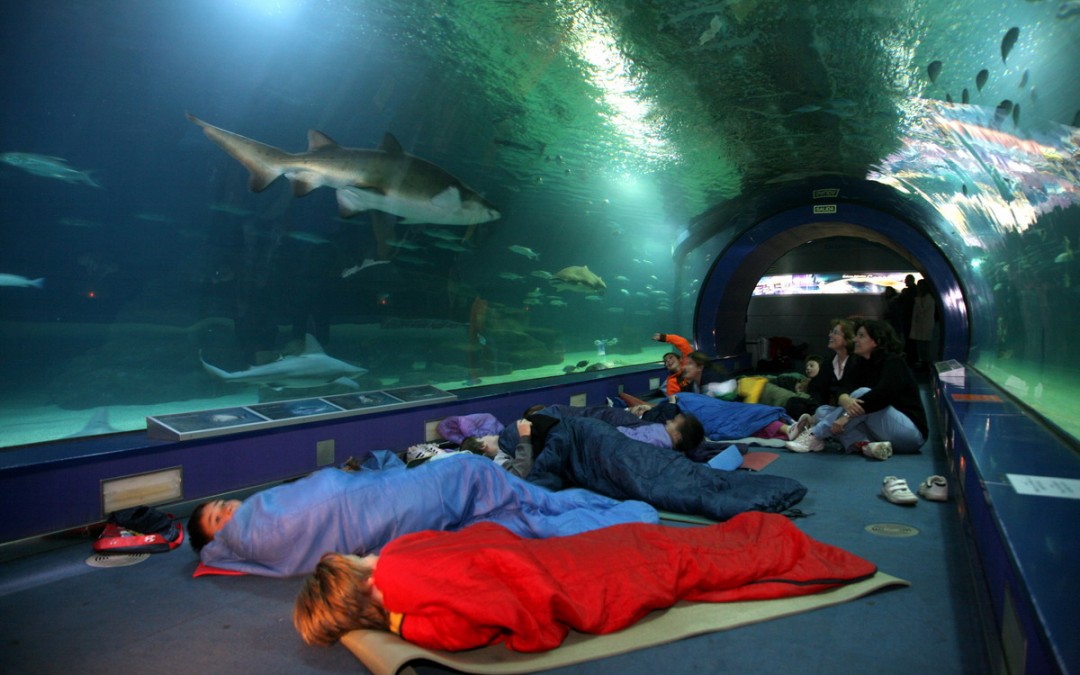 Sleeping With Sharks